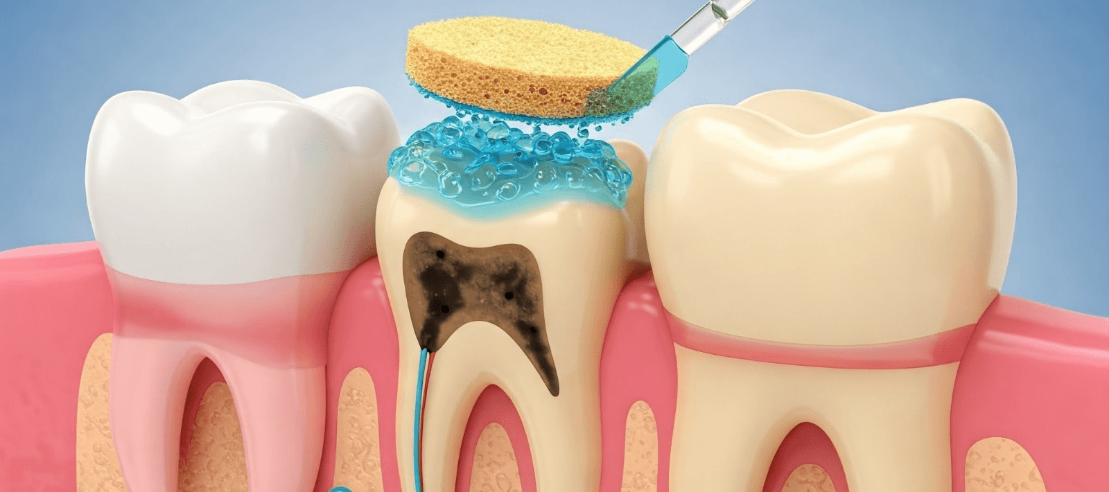 Odontologia